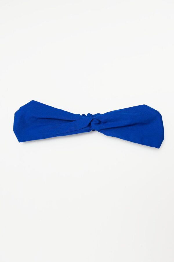 Bandeau de cheveux bleu
